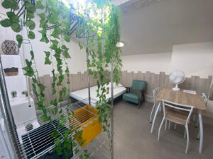 INVESTISSEMENT LOCATIF CLÉ EN MAIN   LOT DE 6 STUDIOS   AGEN